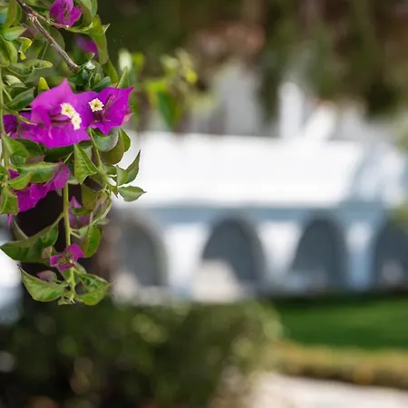 Casa Montzo Boutique * Kateleios